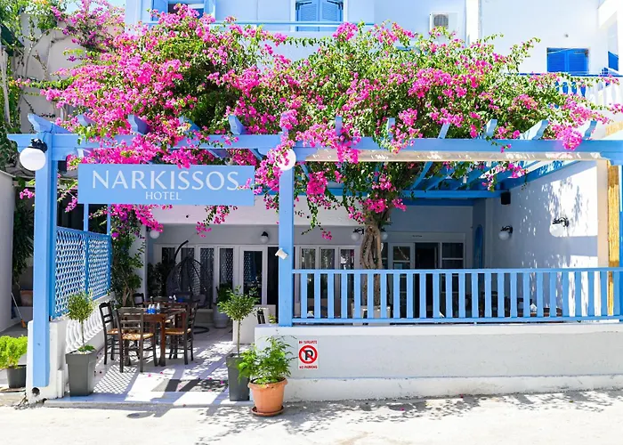 Narkissos 2* Kamári